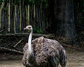 Hannover Zoo