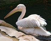 Hannover Zoo