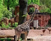 Hannover Zoo