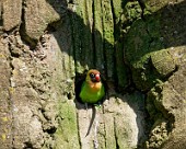 Hannover Zoo