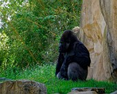 Hannover Zoo