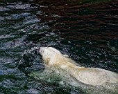 Hannover Zoo