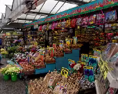 Amsterdam Blumenmarkt