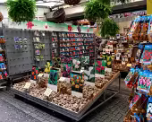 Amsterdam Blumenmarkt