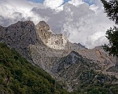 Carrara