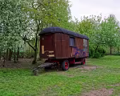 Graffiti Schwerin - Großer Dreesch