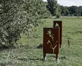 Zarrentin Moorerlebnispfad