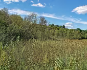 Zarrentin Moorerlebnispfad