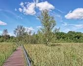 Zarrentin Moorerlebnispfad