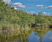 Zarrentin Moorerlebnispfad