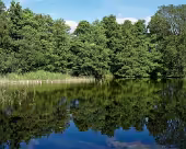 Zarrentin Moorerlebnispfad