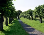 Klütz Schloss Bothmer